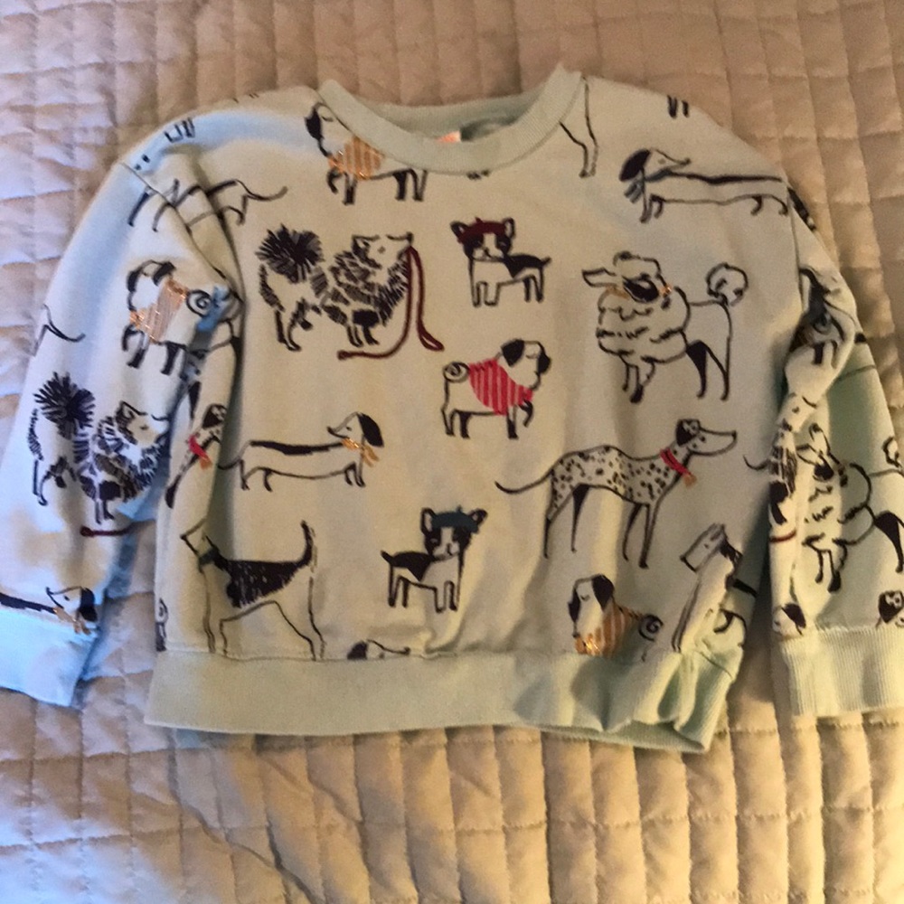 Gymboree sweatshirt